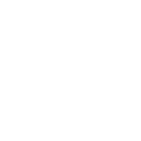 Gekritzel Blume und Blätter Hand gezeichnet png