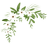 klotter blomma och löv hand dragen png