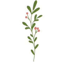 flores recopilación. plantas, floreciente flores,mano dibujado detallado botánico ilustración. png