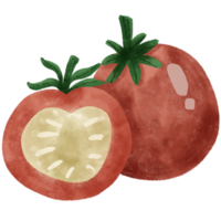 Set of different hand drawn vegetables watercolor style, Vegetables on branch, whole, half and slices. png