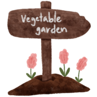 Set of different hand drawn vegetables watercolor style, Vegetables on branch, whole, half and slices. png