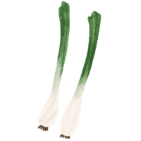 conjunto de diferente mano dibujado vegetales acuarela estilo, vegetales en rama, entero, medio y rebanadas png
