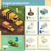 azúcar producción infografia ilustración vector