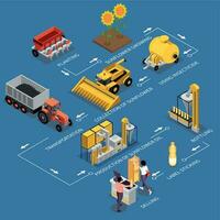 Sunflower Products Isometric Flowchart vector