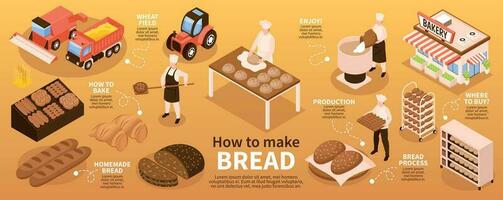 Bread Production Infographic Set vector
