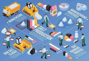 Salt Production Flowchart vector