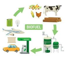 biocombustible producción plano esquema vector