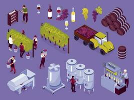 Isometric Vineyard Color Icon Set vector