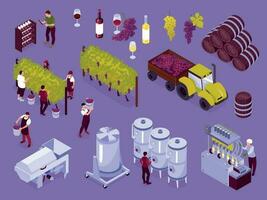 Isometric Vineyard Color Icon Set vector