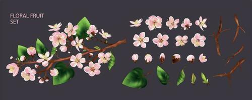 Fruit Tree Branch Set vector