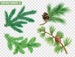 Realistic Coniferous Branches Set vector
