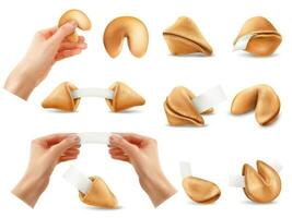 Realistic Fortune Cookies Set vector