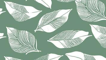 White leaf texture with dark green background vector