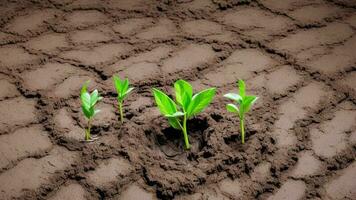 Green shoots grow on dried coffee-colored mud, environmental protection concept AI generated photo