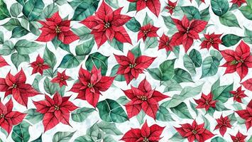 watercolor beautiful Poinsettia, tile seamless repeating pattern AI generated photo