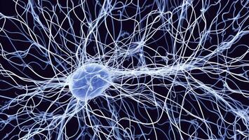 Futuristic blue luminous nerve cells black background photo