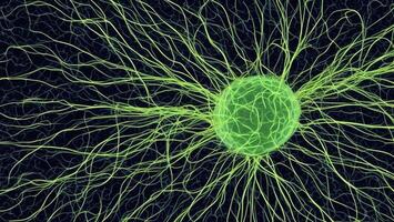 Futuristic green luminous nerve cells black background photo