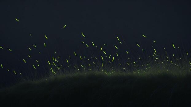 Fireflies and grass at night photo