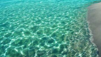 Summer clear water, shore, beach, sunlight, ripple reflection, transparency AI generated photo