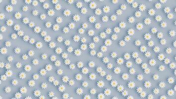 Classical style painting white Paris Daisy flower, tile seamless repeating pattern photo