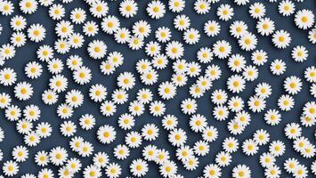 Classical style painting white Paris Daisy flower, tile seamless repeating pattern photo