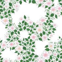 watercolor beautiful pink gradient camellia flower, tile seamless repeating pattern photo