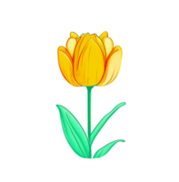 Hand drawn yellow tulip flowers pattern icon transparent background generative ai AI generated png