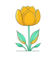 mano dibujado amarillo tulipán flores modelo icono transparente antecedentes generativo ai ai generado png