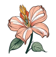 Hand drawn pink lily flower pattern icon transparent background generative ai AI generated png