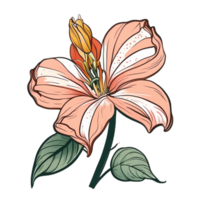 Hand drawn pink lily flower pattern icon transparent background png