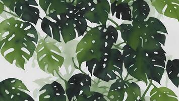 watercolor rainforest leaves black background, tile seamless repeating pattern photo