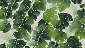 watercolor rainforest leaves black background, tile seamless repeating pattern photo