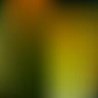 Blurred Abstract Background photo