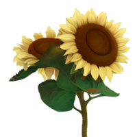 Sunflower Transparent - png