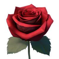 Red Rose Flower Clipart Transparent - png