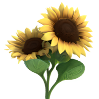 Sunflower Flower Clipart Transparent - png