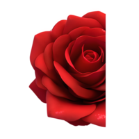 Red Rose Flower Clipart Transparent - png