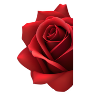 rojo Rosa flor clipart transparente png - generativo ai