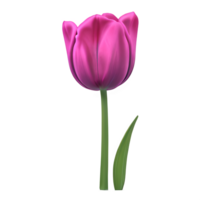 tulpan blomma ClipArt transparent png - generativ ai