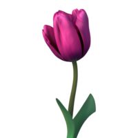 Tulip Flower Clipart Transparent - png