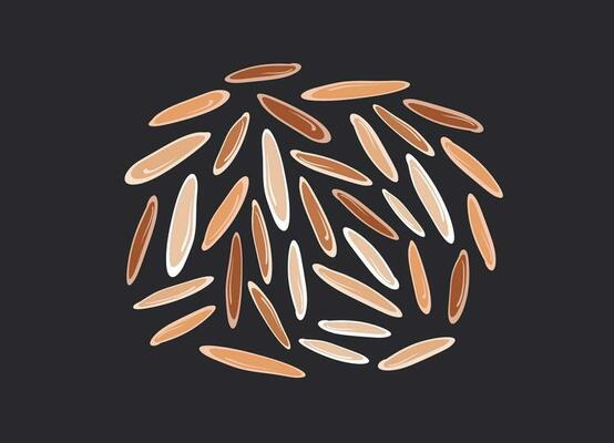 Brown Rice Vector Art, Icons, and Graphics for Free Download