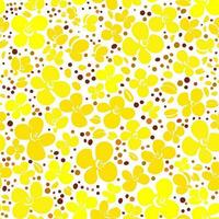 Mustard rape flower and seed pattern Vector canola