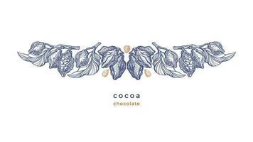 Cocoa border. Vector graphic bean, twig, art fruit