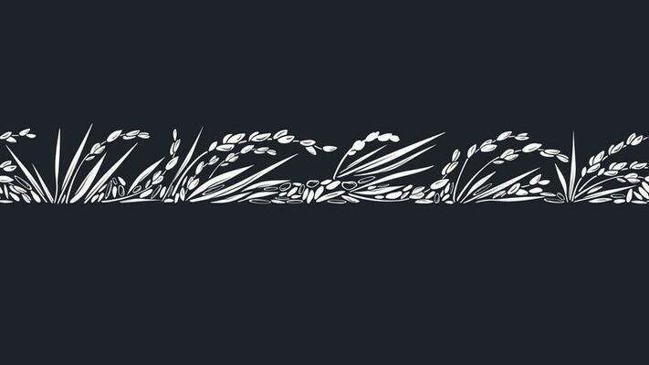 Rice plant Graphic vector print Vector grais bunch