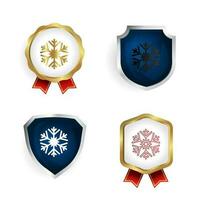 Abstract Modern Snowflake Badge and Label Collection vector