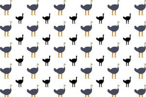 Flat Ostrich Bird Pattern Background vector