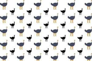 Flat Ostrich Bird Pattern Background vector