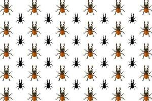 Flat Stag Beetle Insect Pattern Background vector