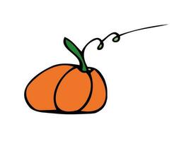 Vector illustration hand drawn pumpkin. Autumn, fall. Harvest festival. Halloween. Thanksgiving. Icon, doodle. Isolated.