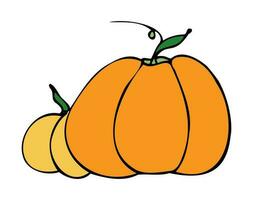 Vector illustration hand drawn pumpkin. Autumn, fall. Harvest festival. Halloween. Thanksgiving. Icon, doodle. Isolated.